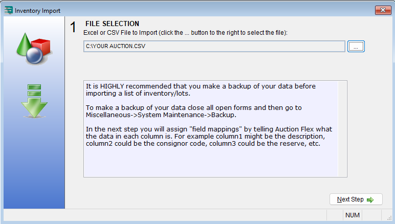 Auction Flex Inventory Import wizard, File Selection step