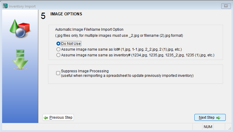 Auction Flex Inventory Import wizard, Image Options step set to Do Not Use