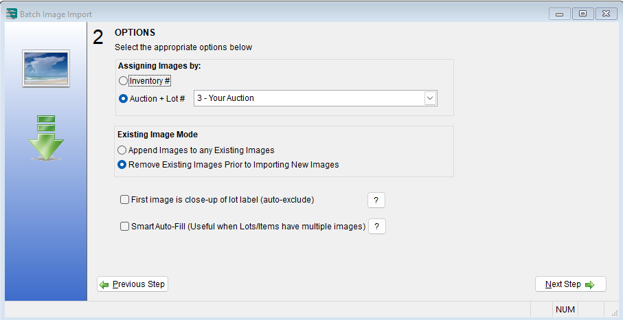 Auction Flex Batch Image Import, Options step