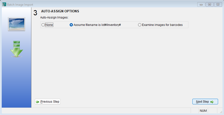 Auction Flex Batch Image Import, Auto-Assign Options step